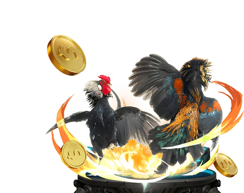 Hình ảnh khuyến mãi hấp dẫn của 5pet